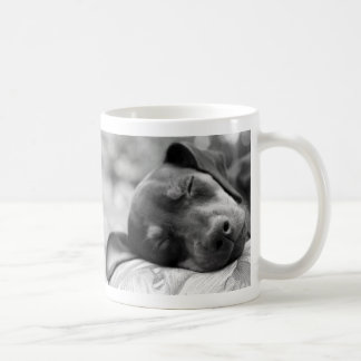 Caneca De Café Cão do Pinscher diminuto do sono