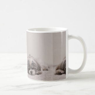 Caneca De Café Cão dormindo Shih tzu Mug, Cão dormindo