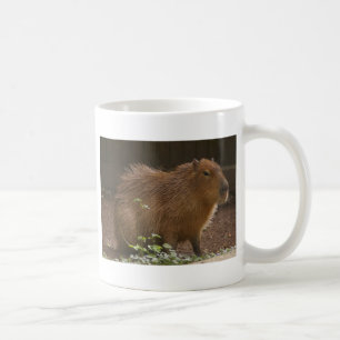 Caneca De Café Capybara
