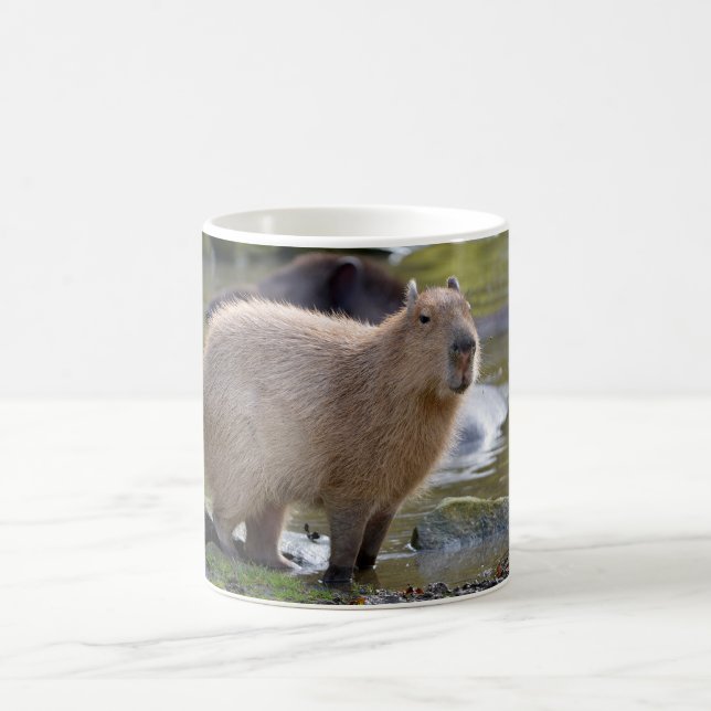 Caneca De Café Capybara na beira de uma lagoa (Centro)