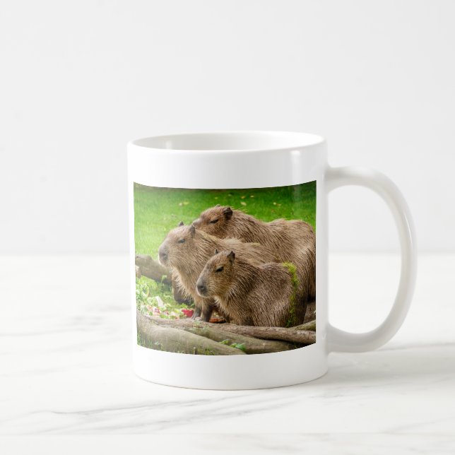 Caneca De Café Capybara Trio (Direita)