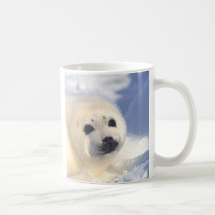 Caneca De Café Cara do filhote de cachorro de selo