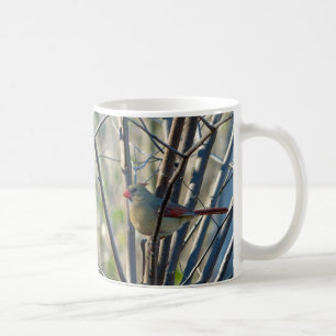 Caneca De Café Cardinal feminino