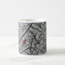 Cardinal na Neve