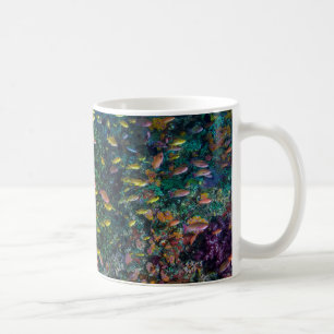 Caneca De Café Cardumes nadam no recife