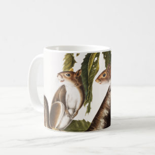 Caneca De Café Carolina Cinza Squirrel (Sciurus Carolinensis)