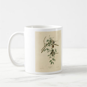 Caneca De Café Carolina Titmouse da Universidade de Audubon's Bir