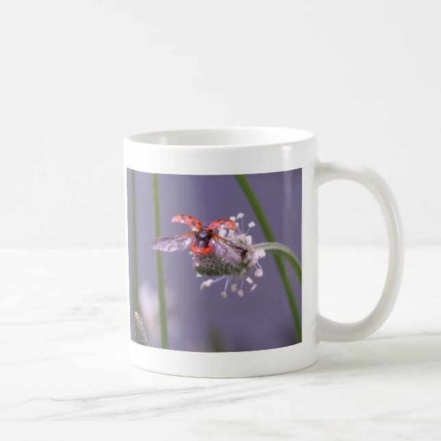 Caneca De Café Casa ausente da mosca (Direita)