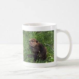 Caneca De Café Castor