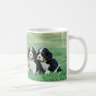 Caneca De Café Cavalier King Charles Spaniel filhotes