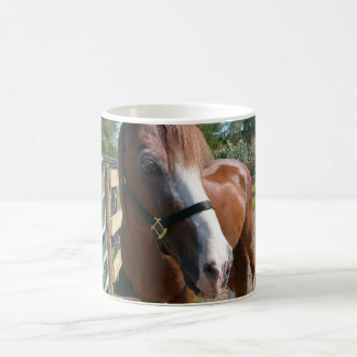 Caneca De Café Cavalo curioso