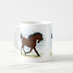 Caneca De Café Cavalo de Baía com Gráfico Anatômico Educaciona