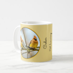 Caneca De Café Cedar Waxwing - Foto Original