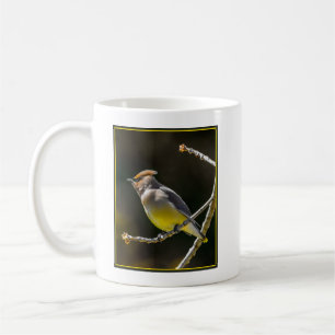 Caneca De Café Cedar Waxwing Songbird Original Foto de Pássaro Se