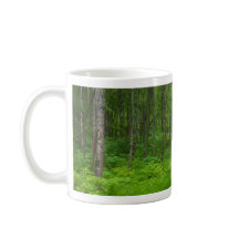 Cena de Paisagem de Floresta Verde Exuberante