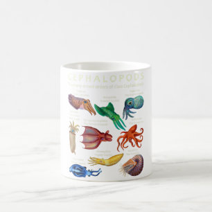 Caneca De Café Cephalopod Octopus Squid Cuttlefish