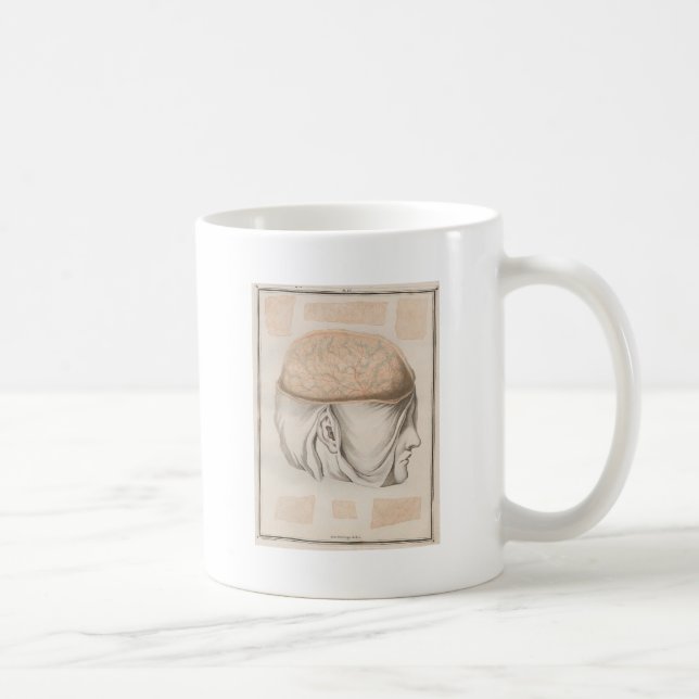 Caneca De Café Cérebro um - Neuroanatomia (Direita)