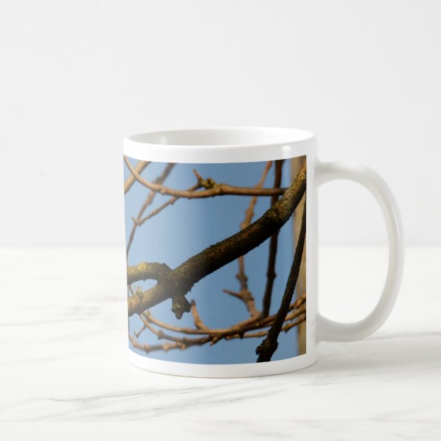 Caneca De Café Chapim-azul (Direita)