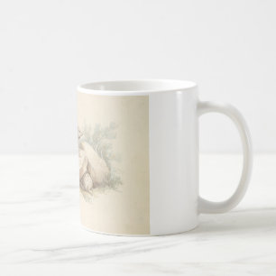 Caneca De Café Charles Hamilton Smith - Fada Rosa Armadillo