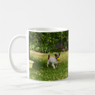 Caneca De Café Charlie The Fox Terrier Ball Play, Café Mug