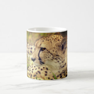 Caneca De Café Cheetah