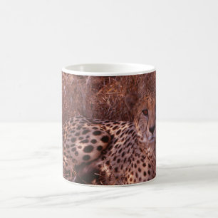 Caneca De Café Cheetah Stare