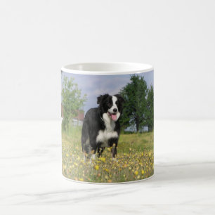 Caneca De Café cheio 3.png de border collie