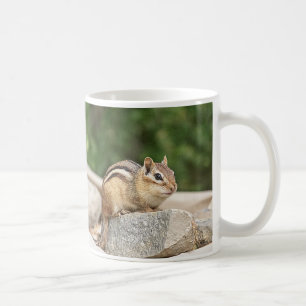 Caneca De Café Chipmunk numa pedra