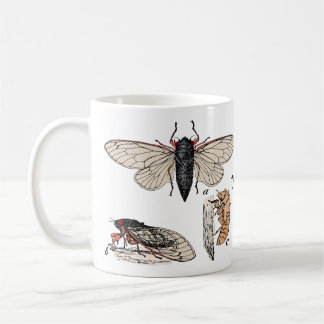Caneca De Café Cicadas Duplo Brood 2024 Mug