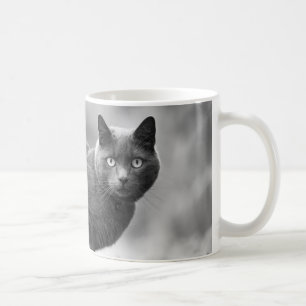 Caneca de café cinzenta do gato