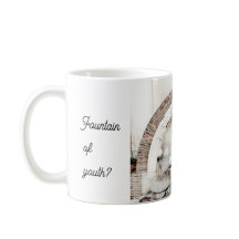 citação engraçada do Roman Fountain