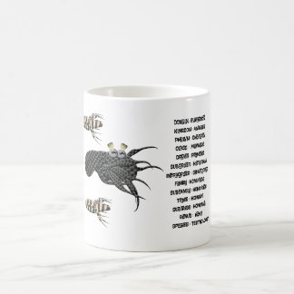 Caneca De Café Classificação científica para os teuthólogos. 
