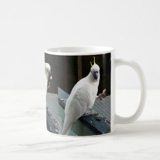 Caneca De Café Cockatoo no pequeno almoço