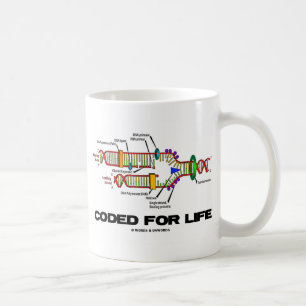 Caneca De Café Codificado para a vida (replicação do DNA)