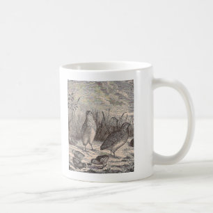 Caneca De Café Codorniz Apenas