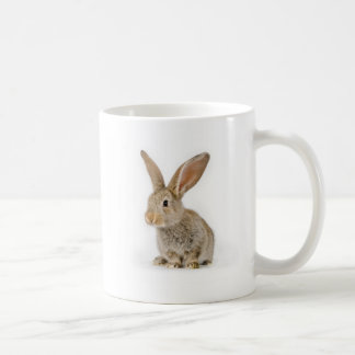 Caneca De Café Coelho pequeno bonito