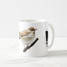Coffee Coffee Mug