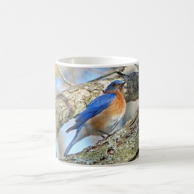 Caneca De Café Coffee Mug Bluebird (Centro)