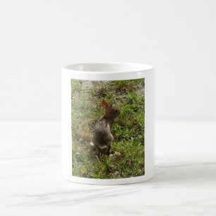 Caneca De Café Coisas de lebre de coelho coelho