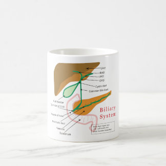 Caneca De Café Colagogo biliar da carta do diagrama de sistema