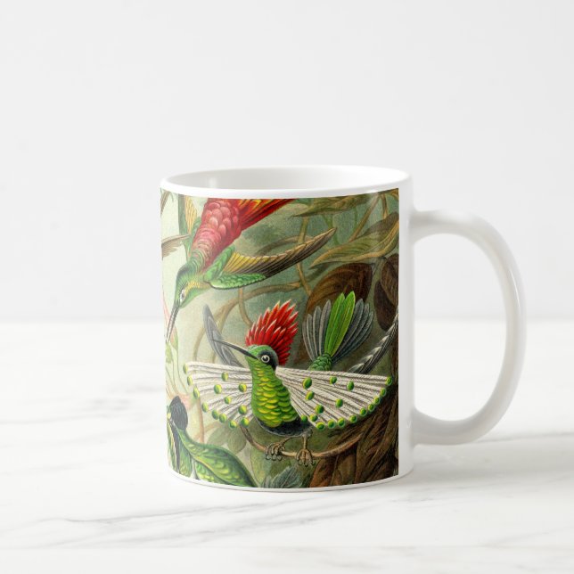 Caneca De Café Colibri do Trochilidae de Ernst Haeckel (Direita)