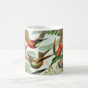 Caneca De Café Colibris por Ernst Haeckel (2)