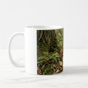 Caneca de Café com Bebê Veado Enrolado em uma Flor