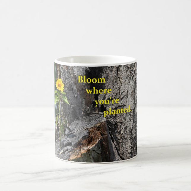 caneca de café com crescimento de flor fora da (Centro)