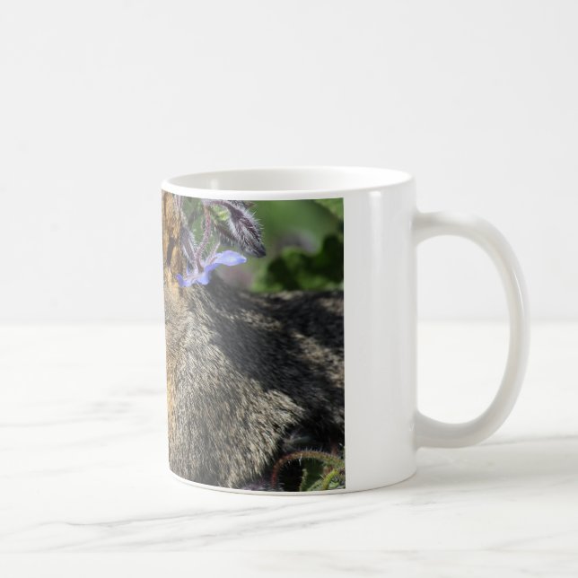 caneca de café com esquilo (Direita)