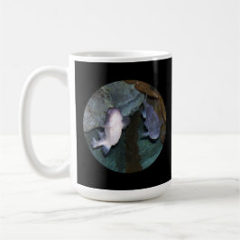 Caneca de Café com Foto de Peixe Yin Yang Nova