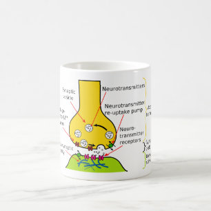 Caneca De Café Como os sinais do nervo são enviados com sinapses
