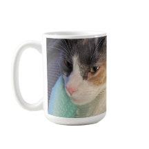 Como você se sente?