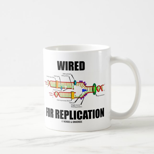 Caneca De Café Conectado Para Replicação (Replicação de DNA) (Direita)