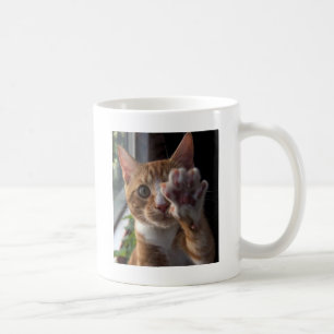 Caneca De Café conversa à pata